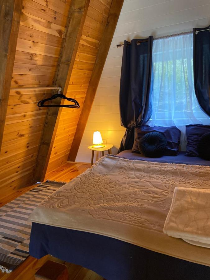 Woodmood Villa Zabljak  Ngoại thất bức ảnh